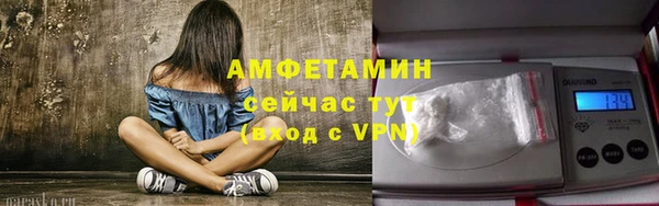 мдпв Козельск