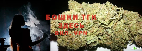 шишки Козловка