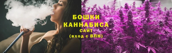 мдпв Козельск